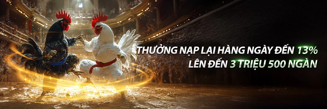 Đá Gà C3 67 – Trận đấu kịch tính